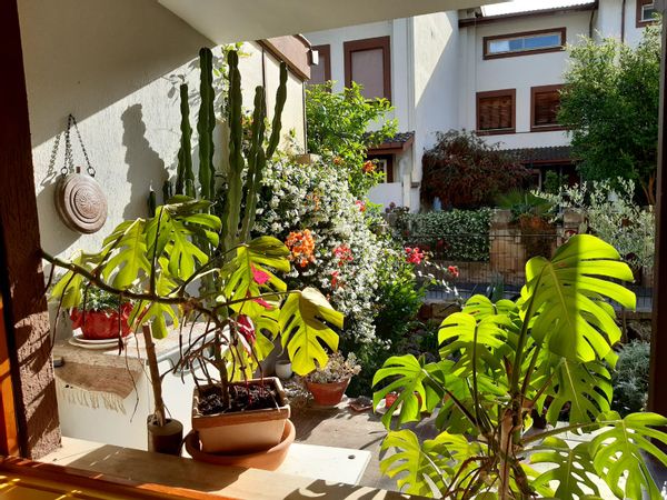 La maison de Elvia Ercolani