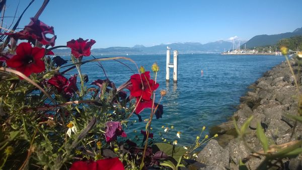 Lac LEMAN - EVIAN