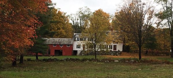 La maison de Emily