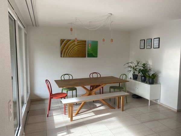 Appartement avec jardin près de Zürich.