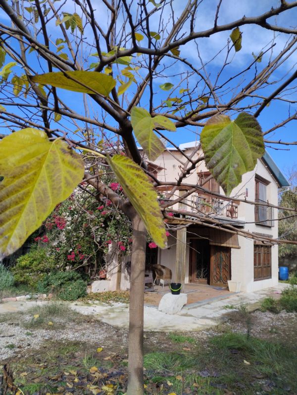 La maison de César