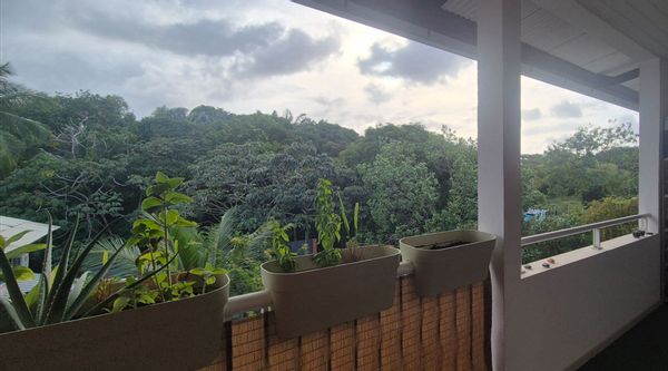Appartement à Cayenne