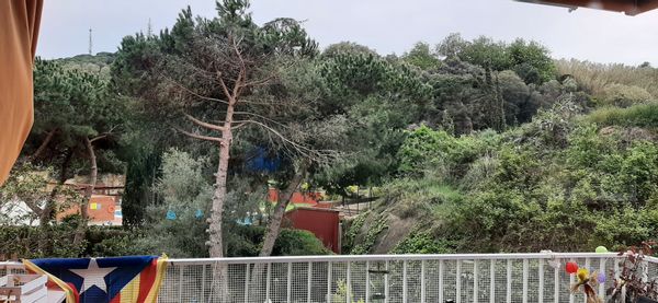 La maison de Elena y Enric