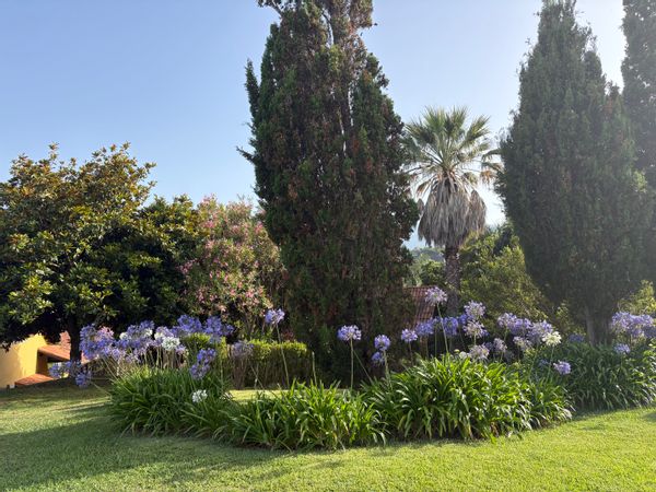 Studio au calme, dans magnifique propriété au calmeavec accès piscine, terrasse et jardin