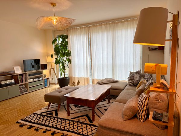 Bel appartement spacieux et lumineux à Carouge