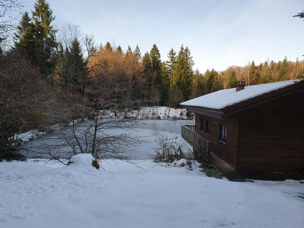 Notre cabane de famille au bord de notre étang