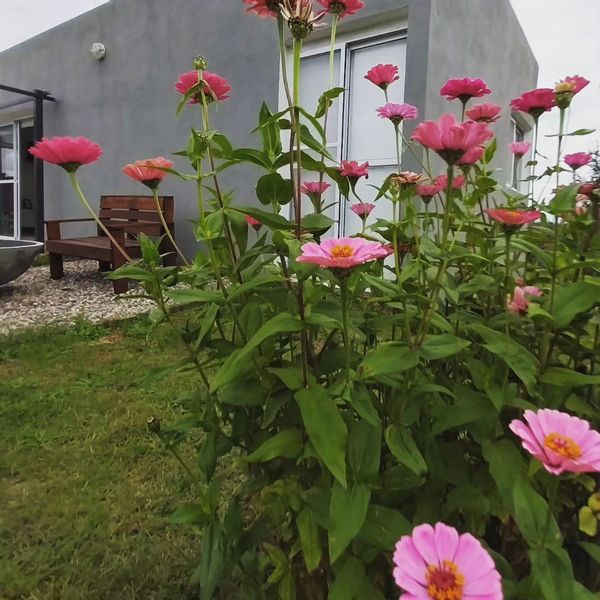 La maison de Carolina del carmen