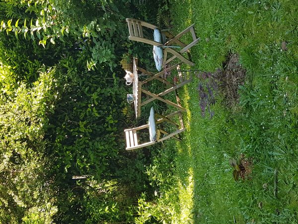 Rez-de-jardin Vaulx-en-Velin - proche Lyon et Nature