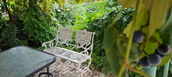 La maison de Csaba