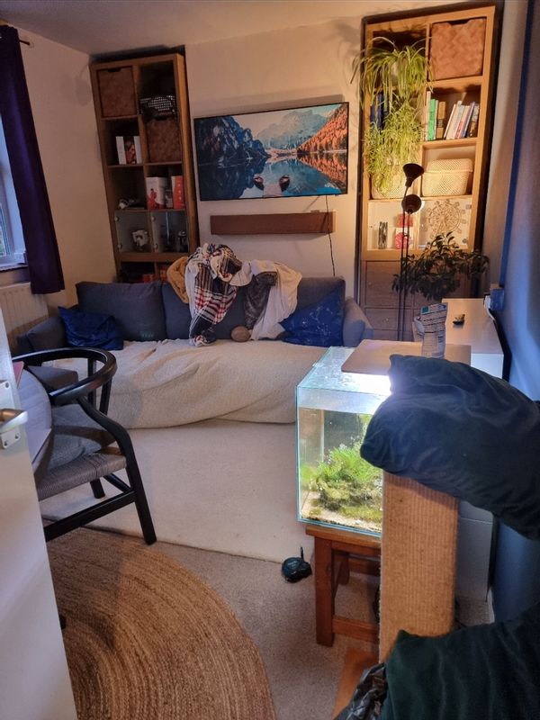 La maison de mike