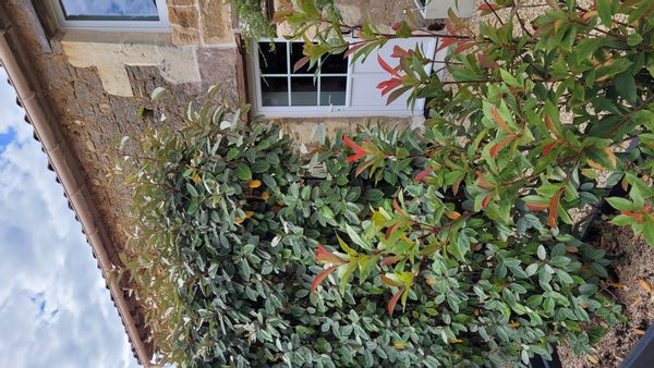 La chambre privée au creux des vignes !
