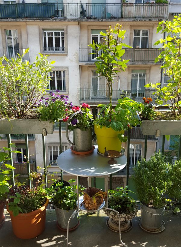 La maison de Natalie