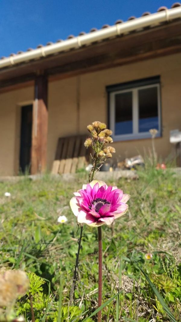 La maison de Céline et Marieke, près de Carcassonne