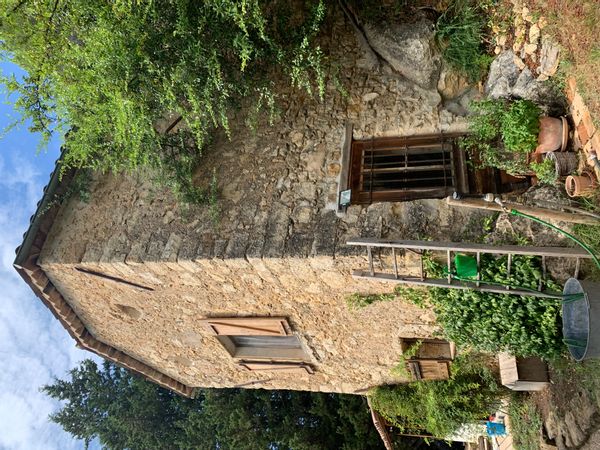Mazet provençal