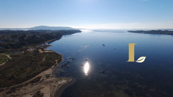 lemodernlounge, sud de la France, près de SETE MONTPELLIER, PEZENAS, AGDE et des plages