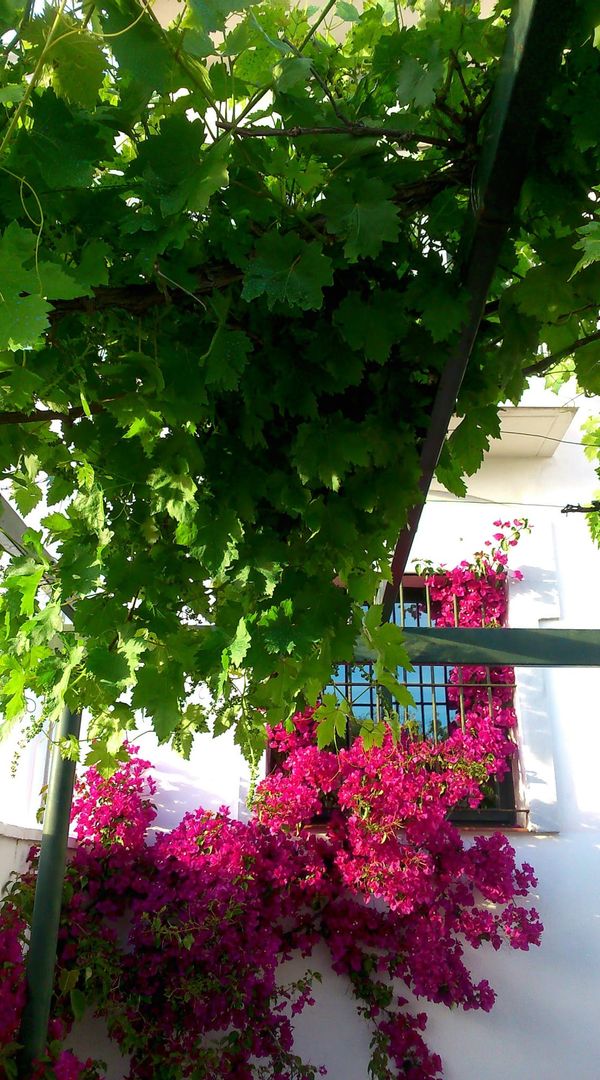 La maison de Eloy
