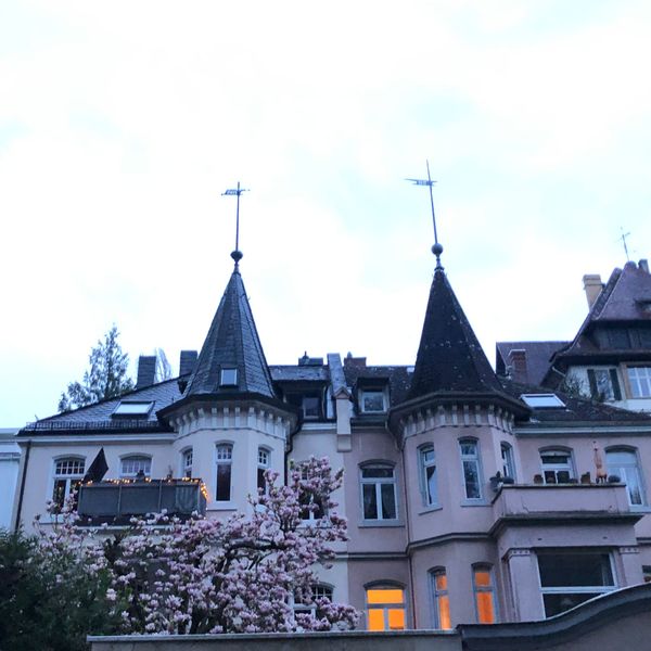 La maison de Timon