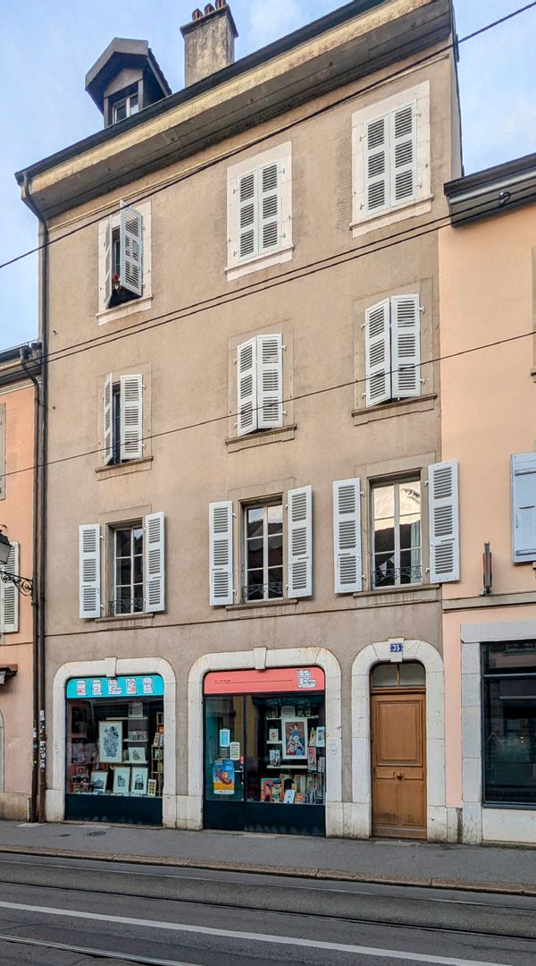 Charming Carouge Apartment with a Lush Terrace in the Heart of Geneva