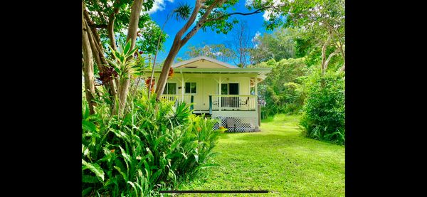 La maison de Suzy stewart