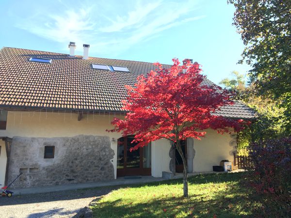Grande maison de charme entre lacs et montagnes