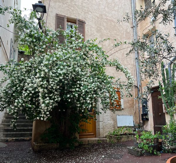 La maison de Paola