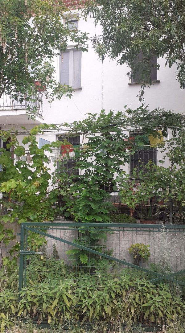 La maison de mauro