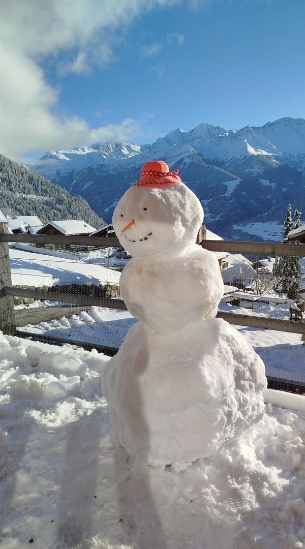 Magnifique chalet à Verbier