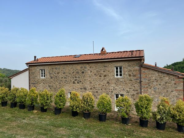 La maison de Daniele