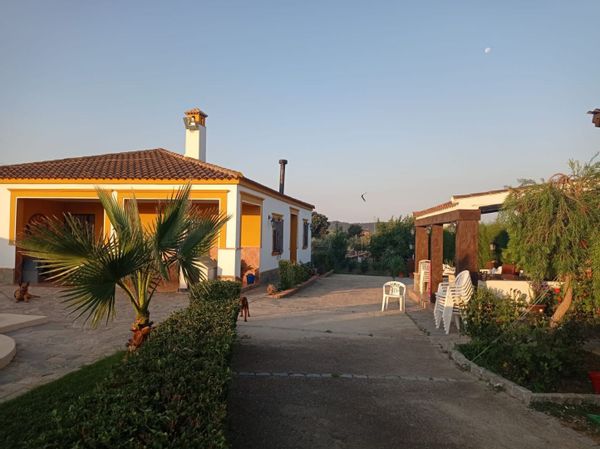 La maison de Apolonia/Alejandro y toñy/Fabi