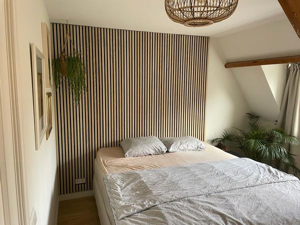Beautiful townhouse in the heart of Leiden