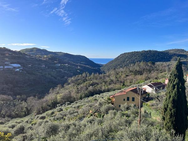 La maison de Sina & nasim's house