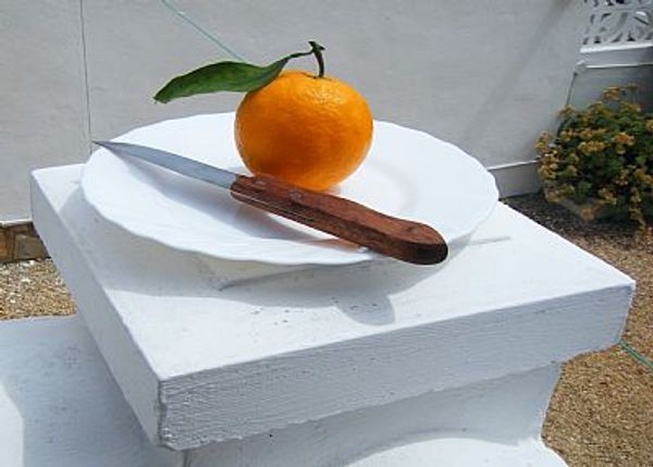 La maison de Paddy