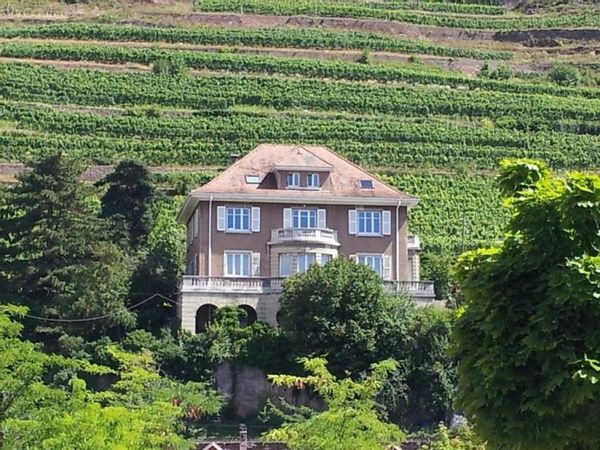 Villa in the heart of the French vineyard