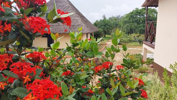 Villa intégrée en bord d'océan dans un domaine arboré, 2 chambres, cocoteraie, plage et océan