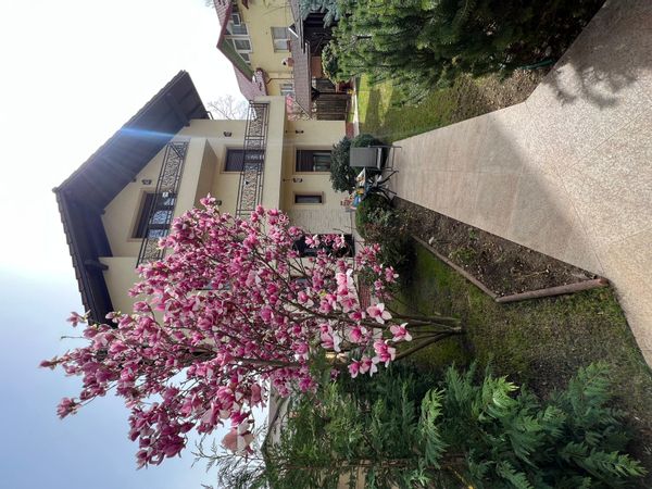 La maison de Cosmin