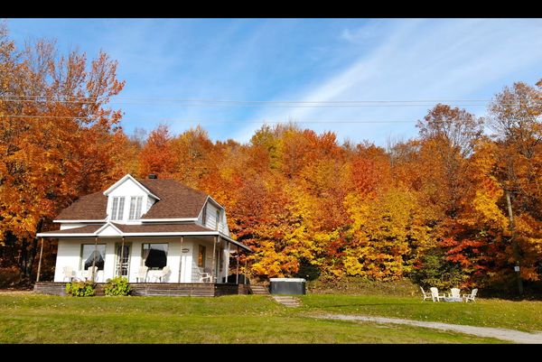 Maison de campagne champêtre avec spa et vue sur la nature