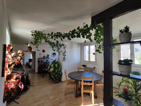 La maison de Andrea