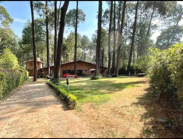 La maison de Larisa