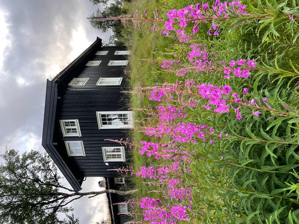 La maison de Torunn