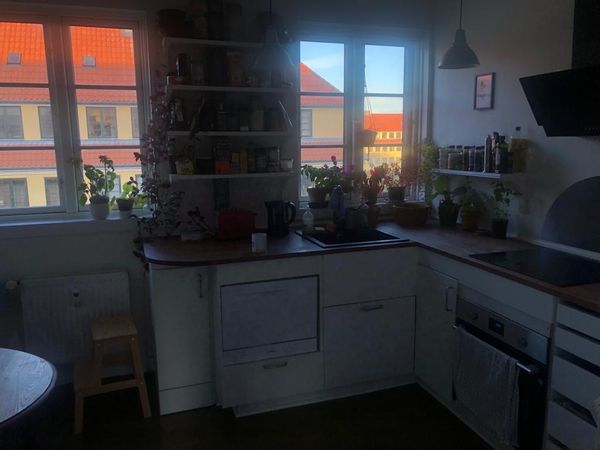 La maison de Milagros