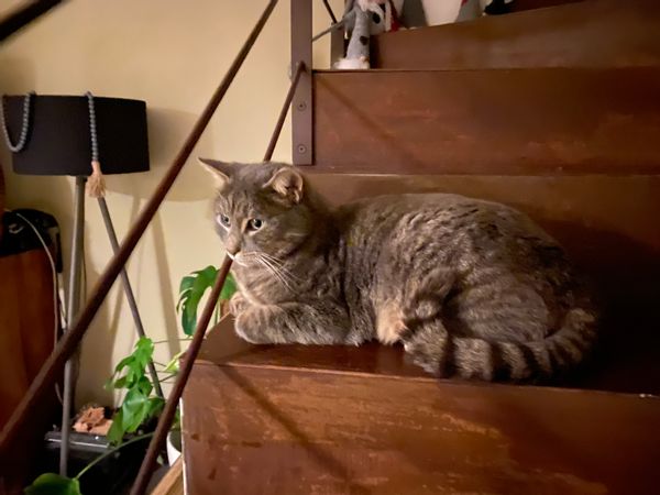 La chambre privée de Veronica