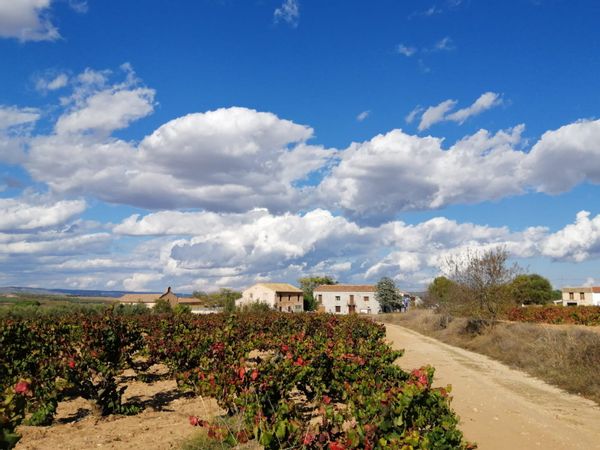 La maison de Eduardo&Rosario House