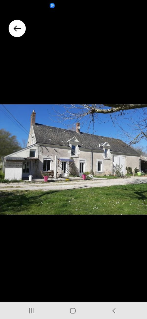 notre chambre privée au cœur des vignes, à 20 mn du Zoo de Beauval et 30 à 40 mn des Châteaux.