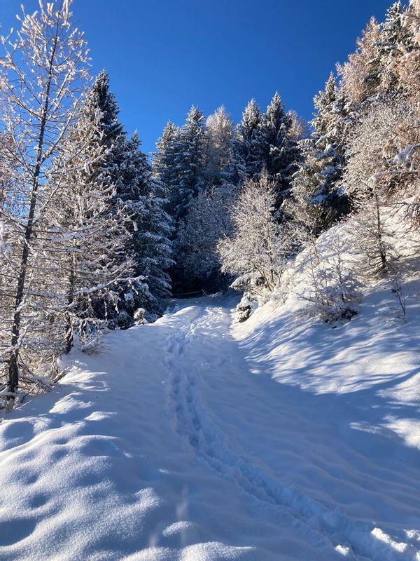 Maison de village au calme, à proximité de Genève et des stations de ski (Alpes).