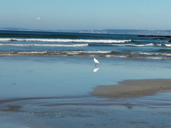 Chez Maud, entre terre et mer