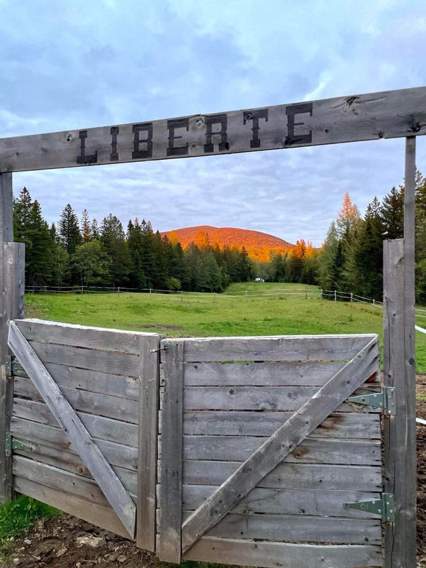 Chalet Rustchic - Le Madison au pied du Mont Mégantic