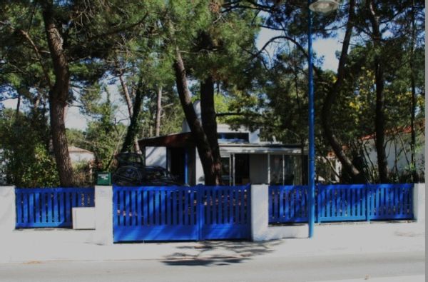 Bord d'océan, plages et foret