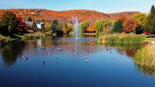 Bordée d'un lac et d'une montagne, près du centre-ville de Montréal