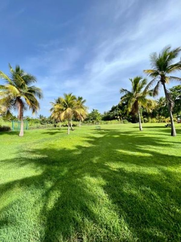 Au jardin des Caraïbes