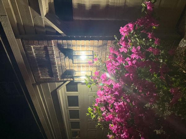 La maison de AnnMarie